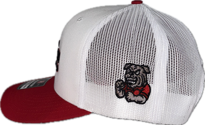 Collegiate