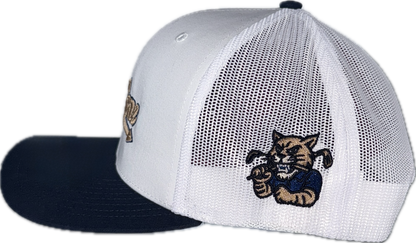 Collegiate